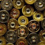 Transition to non-lead shot by 2029