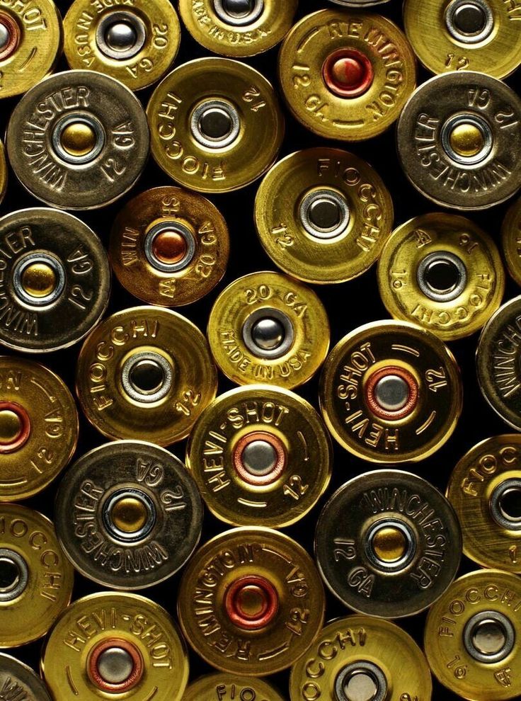 Transition to non-lead shot by 2029