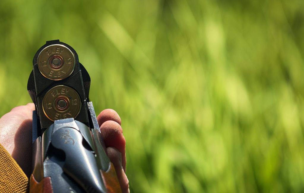 £9m subscription to hold a shotgun? Hang on a minute...